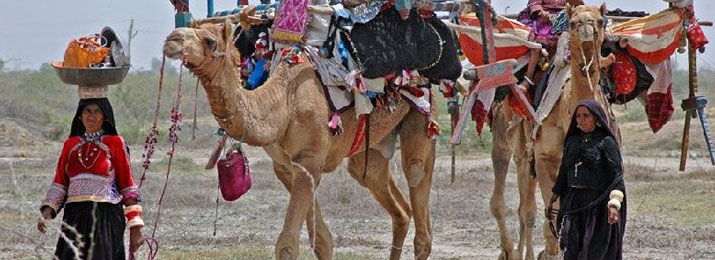 rajasthan-tribal-tour